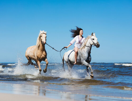 Don’t forget to love yourself…first!