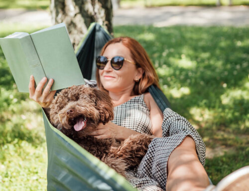 This or something better.