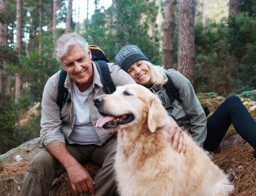 Don’t retire – Restart